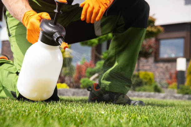 Best Pest Control Near Me  in Catoosa, OK