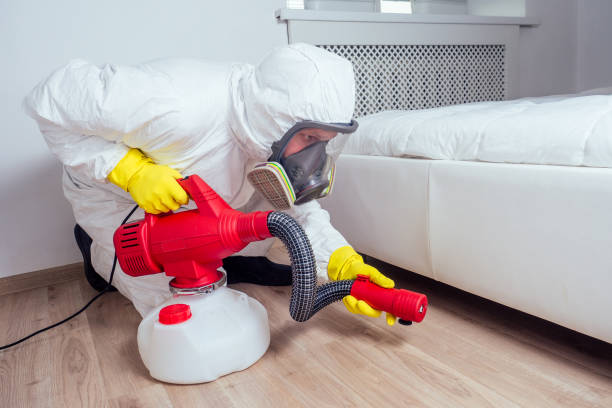 Wasp Removal Services in Catoosa, OK