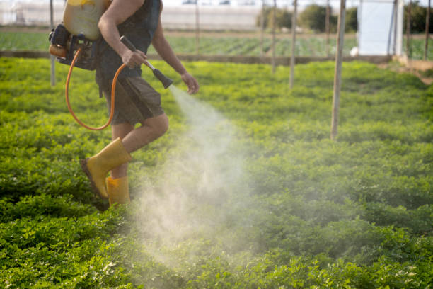 Best Mosquito Control Services  in Catoosa, OK
