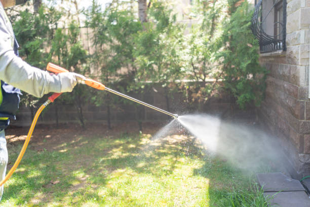 Best Rat Extermination Near Me  in Catoosa, OK