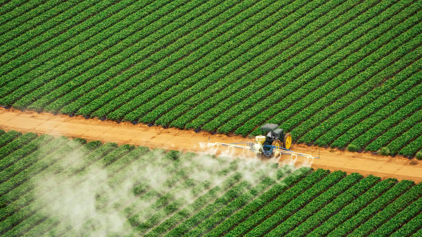 Best Mosquito Control Services  in Catoosa, OK