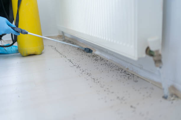Best Best Pest Control Companies  in Catoosa, OK