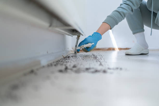 Best Affordable Pest Control Services  in Catoosa, OK